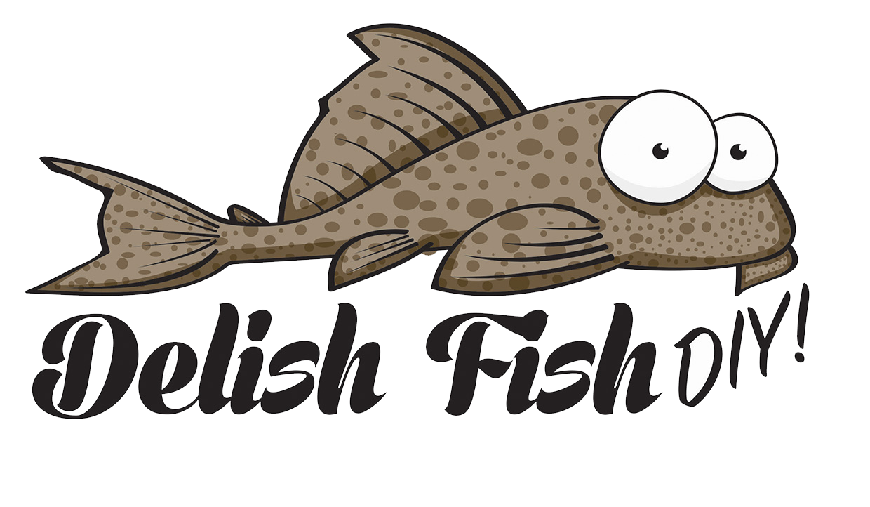 ELFC Welcomes Delish Fish DIY!